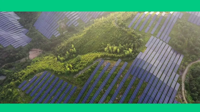 Website van Energy Detective