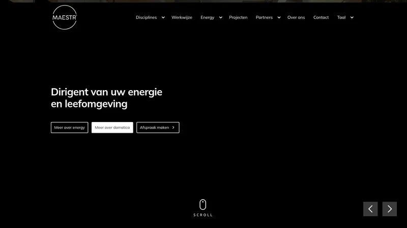 Website van Maestr