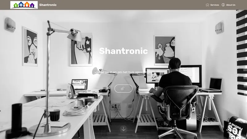 Website van Shant Elektrotechniek